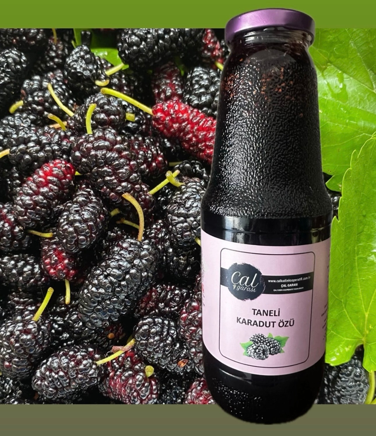 TANELİ KARADUT ÖZÜ 1400g 